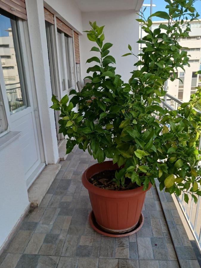 With Private Toilet And Terrace In Center In Shared Leilighet Split